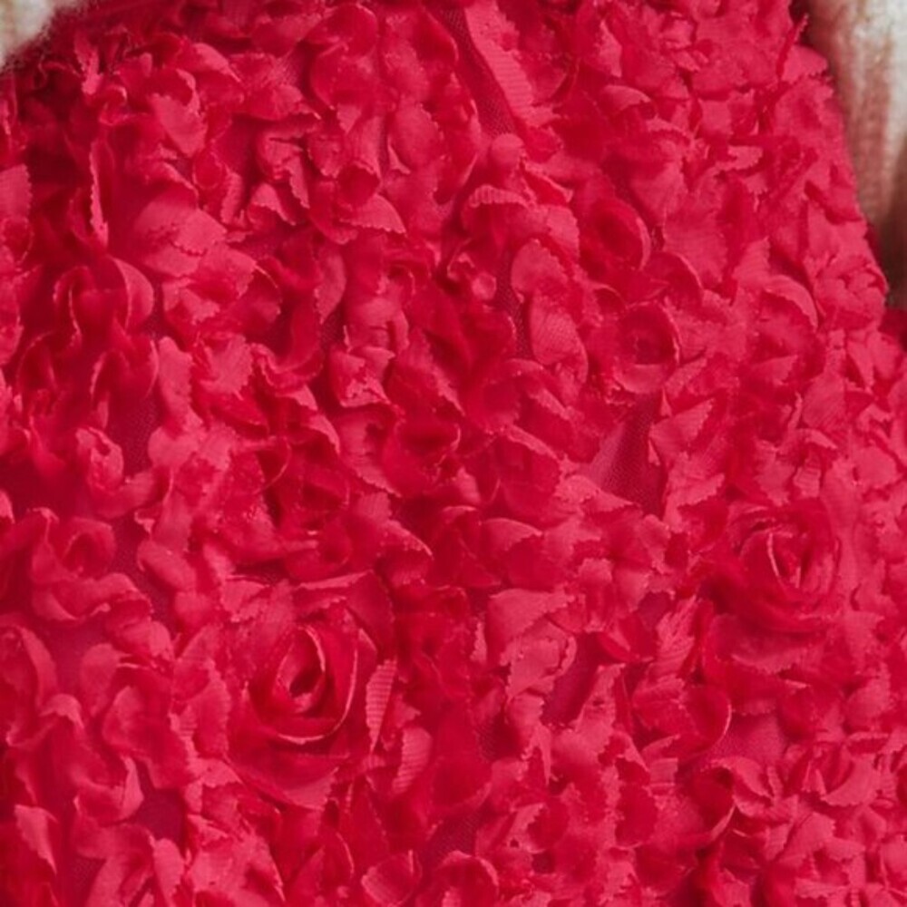 Pink Anthropologie Maeve Floral Lace Textured Full Midi Skirt (NWT) - Picture 2 of 6